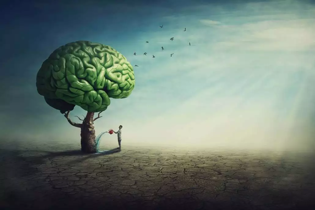 brain after drugs scaled 1